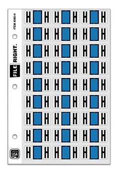 File right™ brand - alphabet labels
